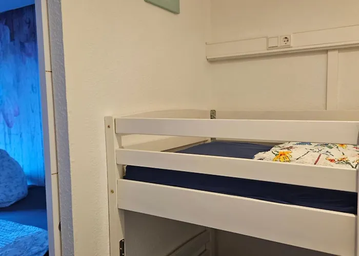 Zum Kuckuck Noch Mal Mit Schwimmbad Und Sauna * Hohegeiß
